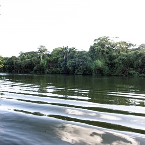 Serene view of river after a tour guide boat passed by.