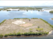 .8 Acre Island on the heart of Placencia Town