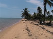 4.88 Acres of Pristine Beachfront Property Located Near Gales Point with a All Weather Road and Gated Subdivision