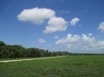 Misty Meadow Farms - Lot 3,one acre parcel - Cayo