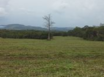 Misty Meadow Farms - Lot 7, one acre parcel - Cayo