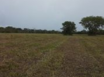 Misty Meadow Farms - Lot 10, five acre parcel - Cayo