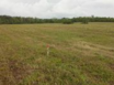 Misty Meadow Farms - Lot 14, five acre parcel - Cayo