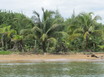 1 Acre Secluded Beach front
