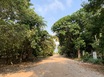 Lagoon View Lots in Resort Community
