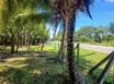 Road Front Corner Lot in Placencia