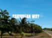 Charming Caribbean Way Lot