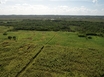 16 Acre Farm Land in San Narciso, Corozal