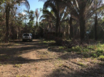 Prime Jungle lot For Sale in Belize