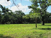 Vacant Lot on Belize River Burrel Boom