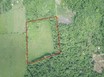 Prime Acreage for Sale Near Hopkins, Stann Creek District
