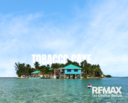 what makes tobacco dangerous Tobacco and tobacco smoke are a toxic mix of more than 7,000 chemicals, including benzene. What's in your lungs? what makes tobacco dangerous Tobacco and tobacco smoke are a toxic mix of more than 7,000 chemicals, including benzene. What's in your lungs?